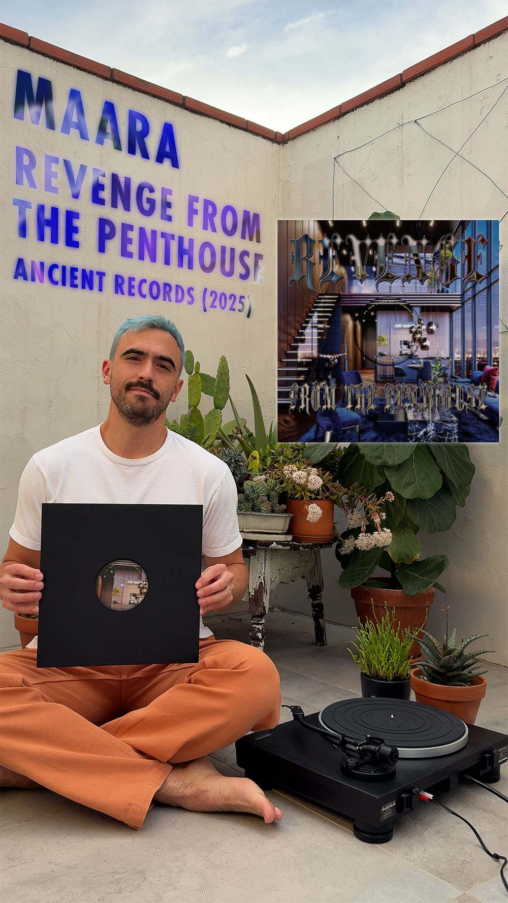 Revenge From The Penthouse